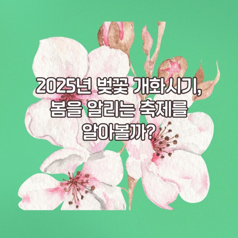 2025 벚꽃 개화시기, 벚꽃 만개시기, 벚꽃축제